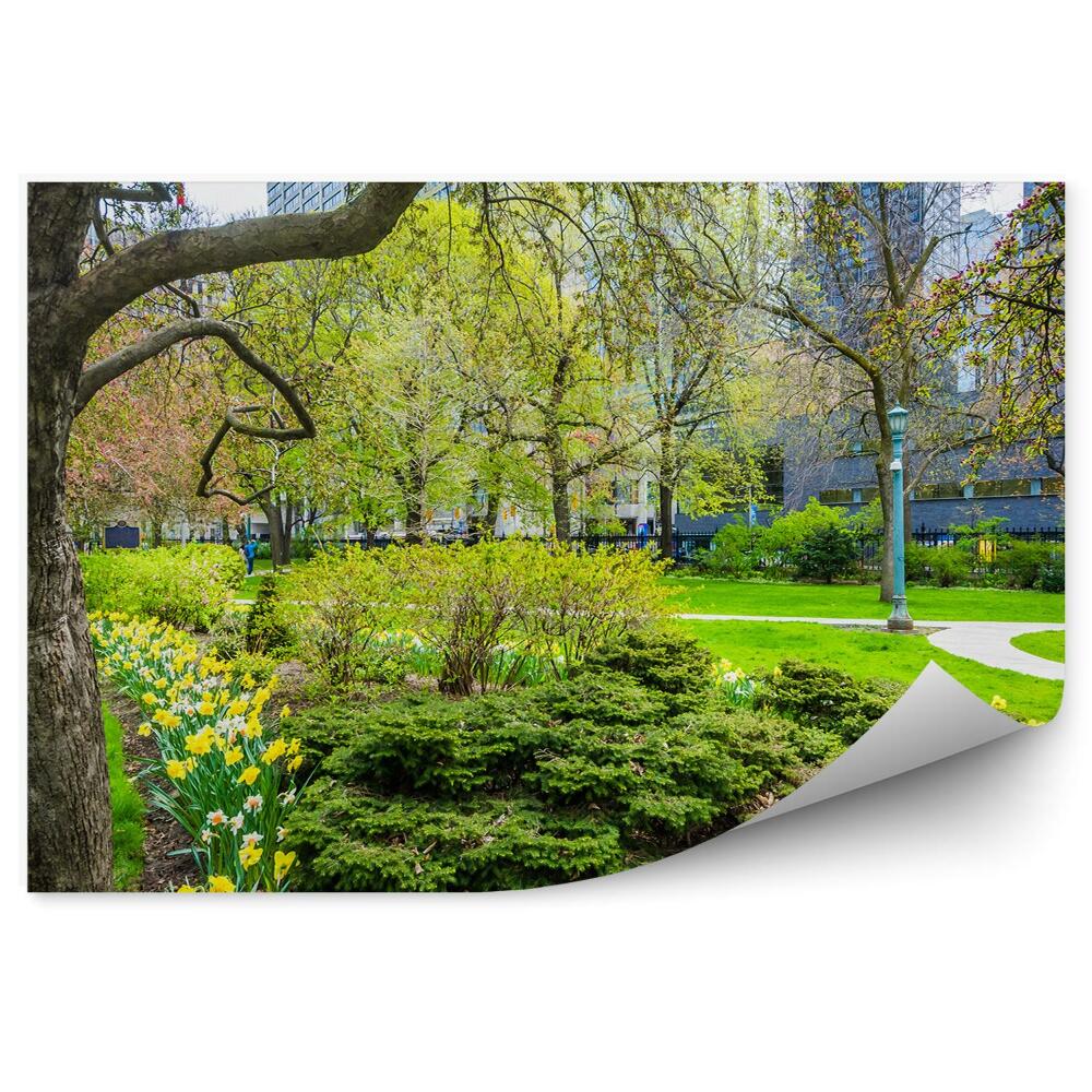 Fotótapéta Fák kertek nárciszok virágok városi park