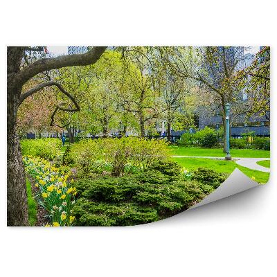 Fotótapéta Fák kertek nárciszok virágok városi park