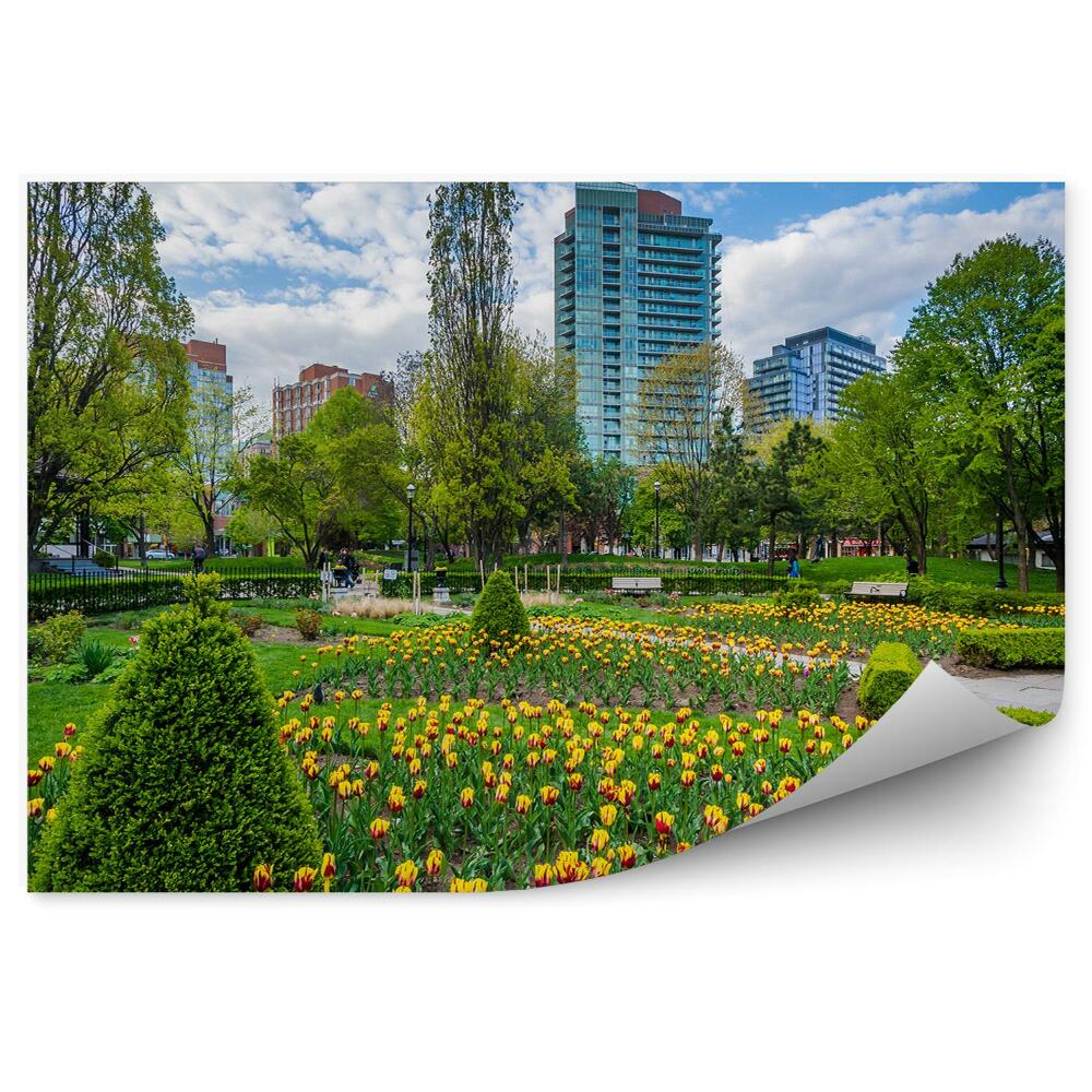 Fotótapéta Toronto kert virágok tulipánok tavasz