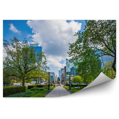 Fotótapéta Város építészet park növények fák