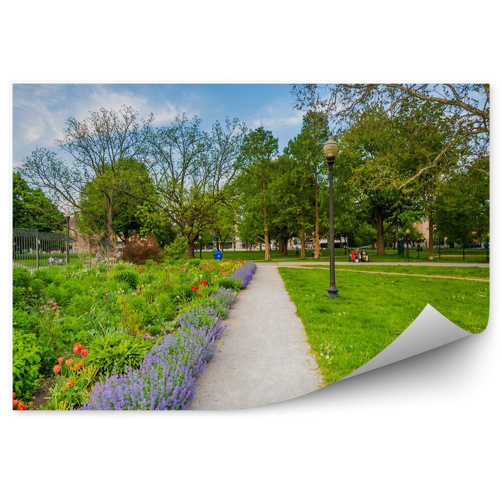 Fotótapéta Építészet virágok út park zöld