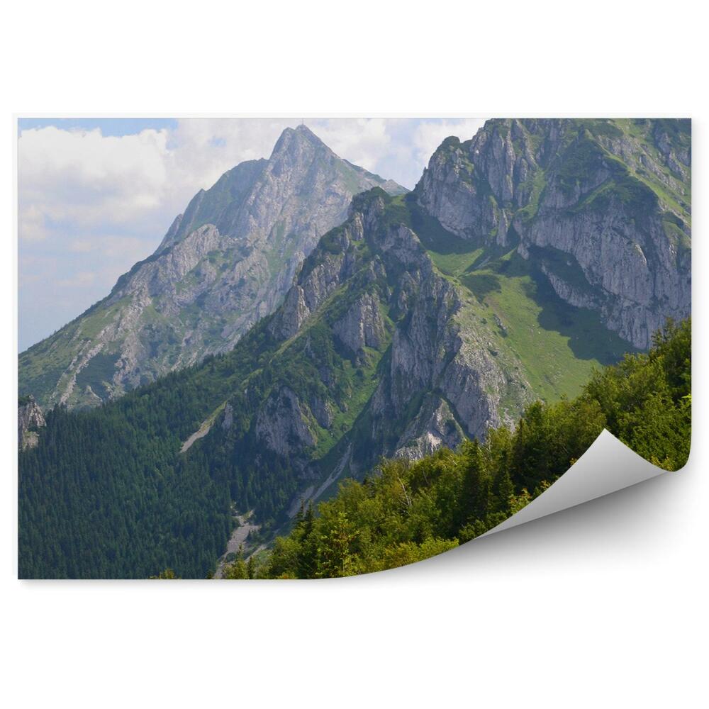 Öntapadós fotótapéta falra Kilátás a Giewont-Tátrára