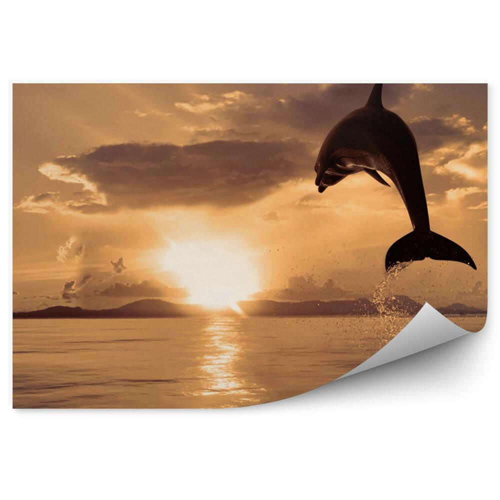 Modern fotótapéta Ugrás a delfin és a naplemente