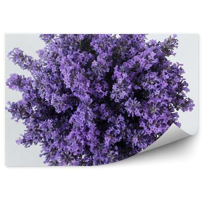 Poszter tapéta Csokor levendula virág fehér háttér