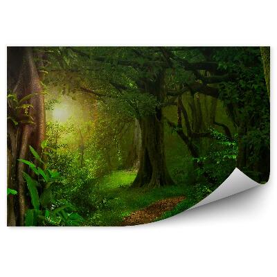 Fotótapéta Természet vadvilág dzsungel Thaiföld fák
