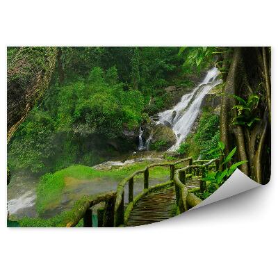 Fotótapéta Thaiföld vízesés híd moha növények
