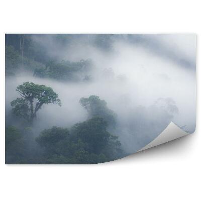 Öntapadós fotótapéta Köd erdei fák