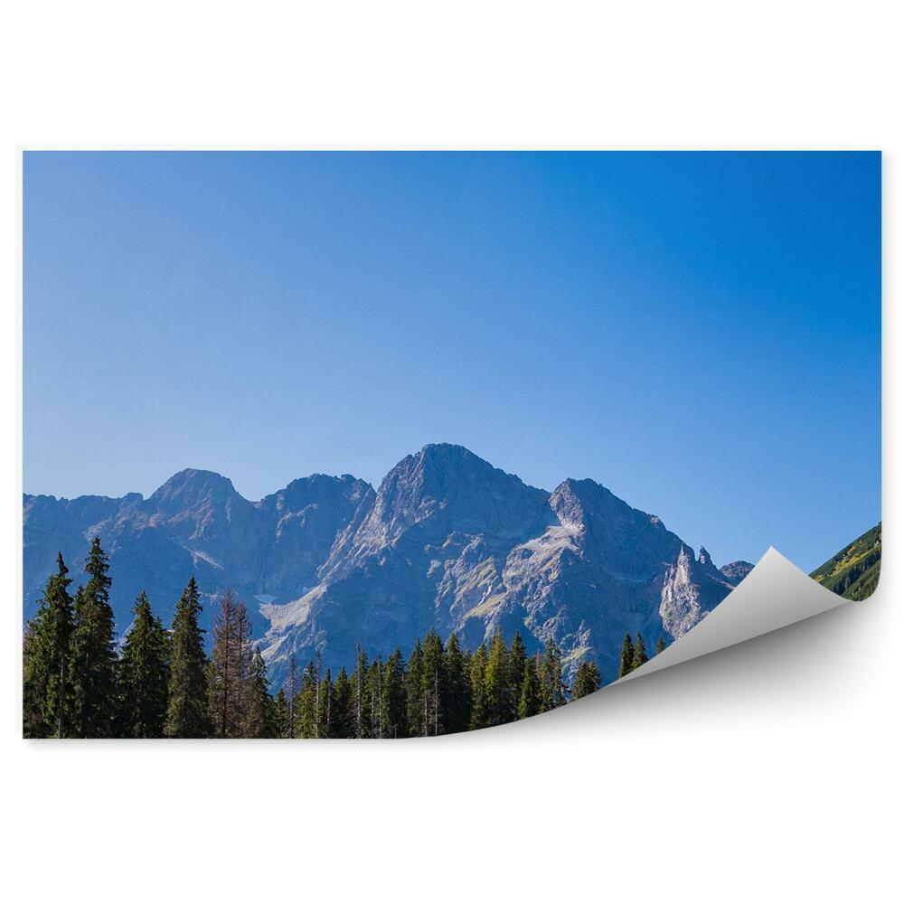 Öntapadós fotótapéta Morskie Oko