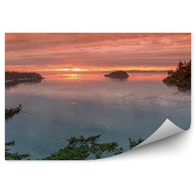 Fotótapéta Naplemente fák öböl sziklái