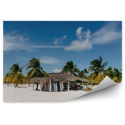 Fotótapéta pálmafák Karib-tenger ház ég felhők tengerpart ég felhők