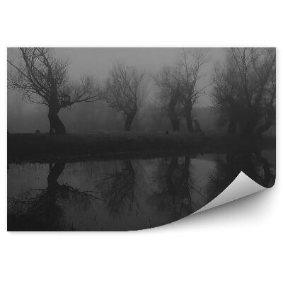 Öntapadós fotótapéta Sötét erdei tó