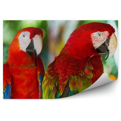 Modern fotótapéta Ara Bali szigetéről