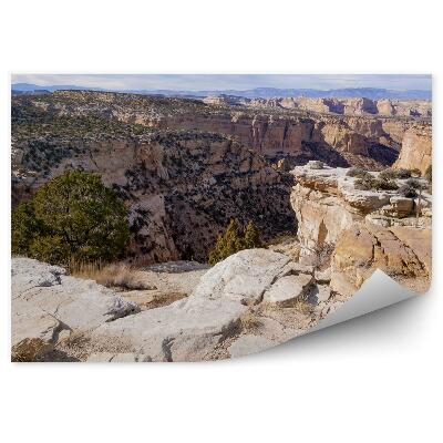 Öntapadós fotótapéta falra Hegyek sziklák sivatagi fák ég felhők