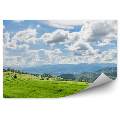 Fali poszter tapéta Zöld rizs teraszok Thaiföld természete
