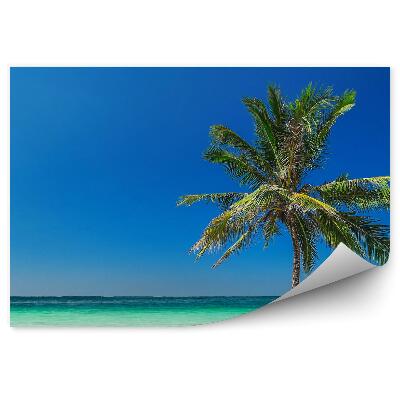 Öntapadó fotótapéta Trópusi tengerparti óceán pálmafa égbolt