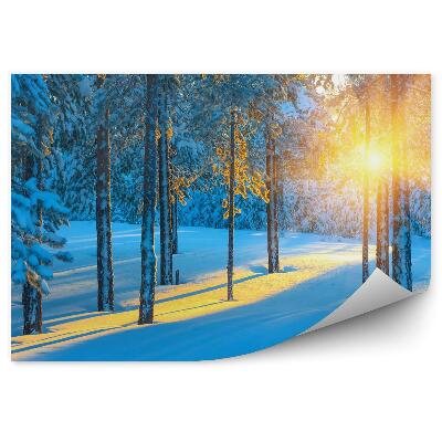 Poszter tapéta Erdő télen napkeltekor