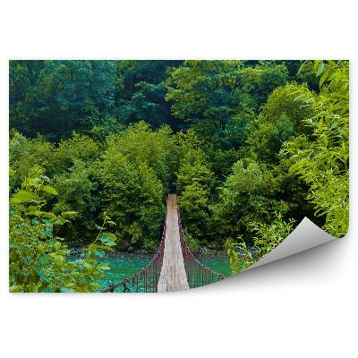 Öntapadó fotótapéta Kötélhíd fák növények hegyi folyó