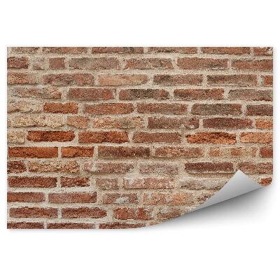 Fotótapéta Régi vörös téglafal