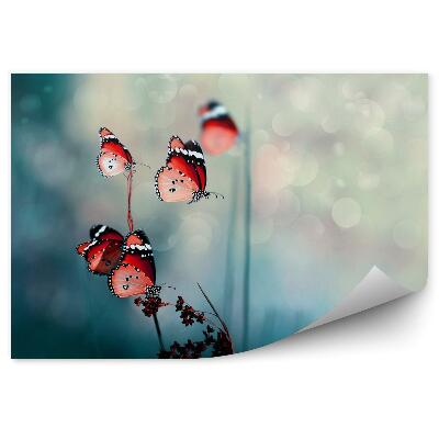 Modern fotótapéta Pillangók