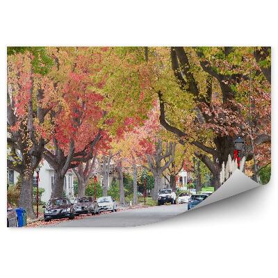 Öntapadós fotótapéta Magas színes őszi fák utca autó város