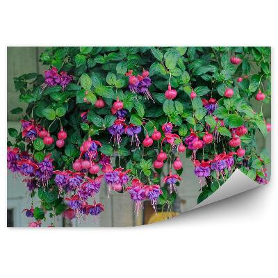 Poszter tapéta Rózsaszín lila fukszia virág levelek ablak téglafal