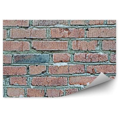 Fotótapéta Fagyott téglafal