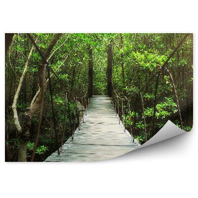 Fotótapéta Zöld erdő nyáron