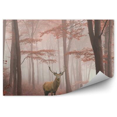Öntapadós fotótapéta falra Szarvas köd őszi erdő