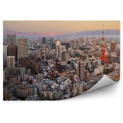 Öntapadós fotótapéta falra Tokiói felhőkarcolók fák épületek égbolt felhők naplemente