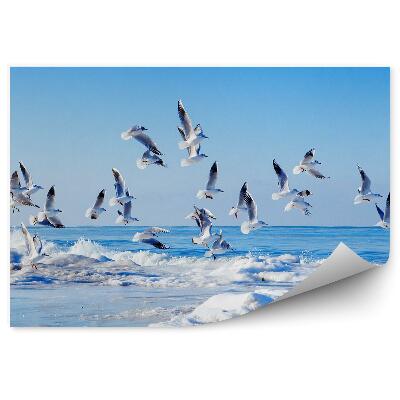 Öntapadó fotótapéta Repülő fehér sirályok csapata