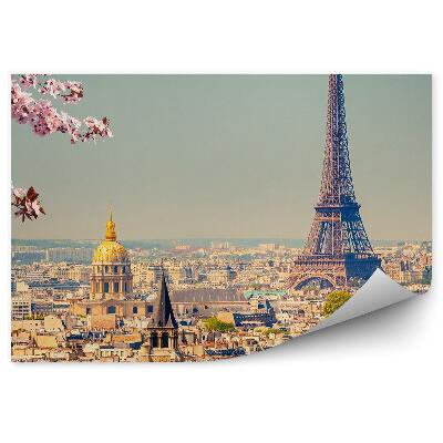 Fotótapéta Virágok nyílnak a fán