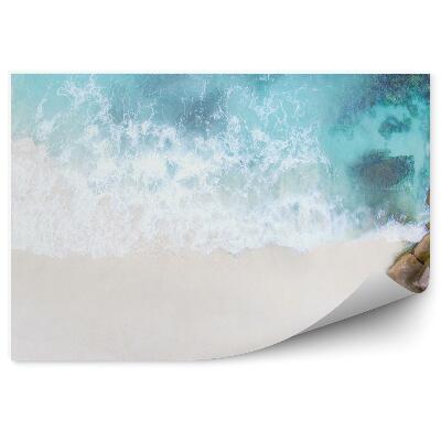 Poszter tapéta óceán tengerpart kövek növények Seychelle-szigetek Mah