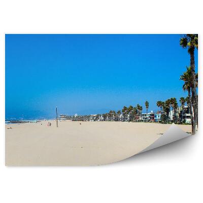 Poszter tapéta Tengerparti homokos víz nyári pálmafák