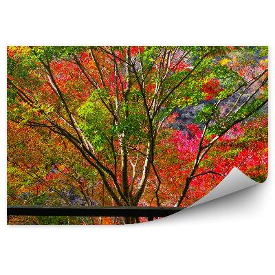 Öntapadó fotótapéta Őszi színes fák az ablakon kívül