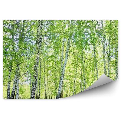 Öntapadós fotótapéta falra Nyírerdei fű