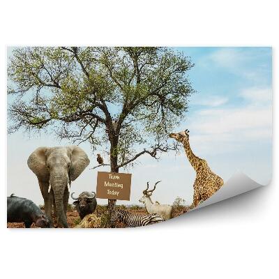 Fotótapéta állatok szavanna fa felirat