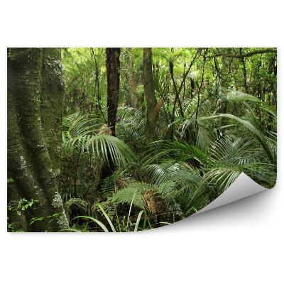 Öntapadós fotótapéta Erdei fák levelek bokrok zöld táj