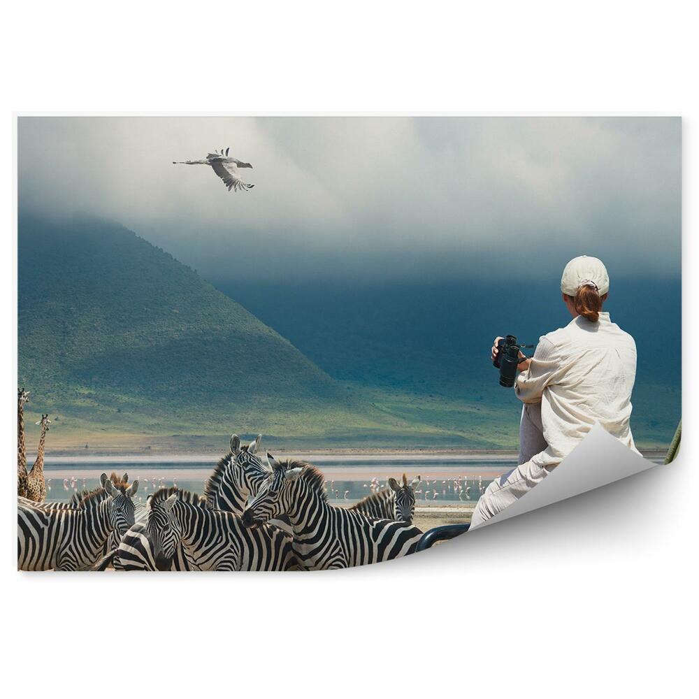 Modern fotótapéta Zebrák zsiráfok madarak hegyek turista szafari