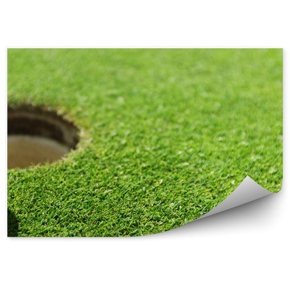 Fotótapéta Golflabda lyuk a fűben