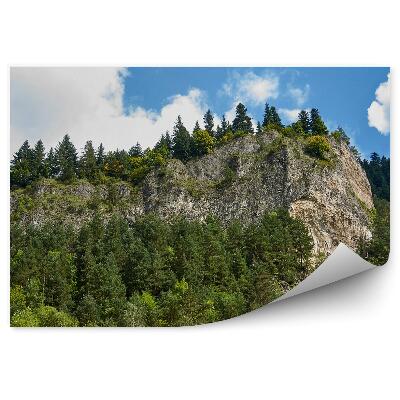 Öntapadó fotótapéta Sokolica Pieniny hegycsúcs felhős égbolt