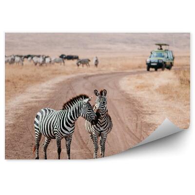 Öntapadós fotótapéta falra Zebrák közúti autó állatok szafari