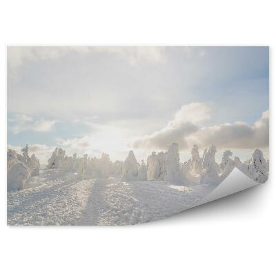 Öntapadós fotótapéta falra Téli hó kupolák fehér sodródik táj