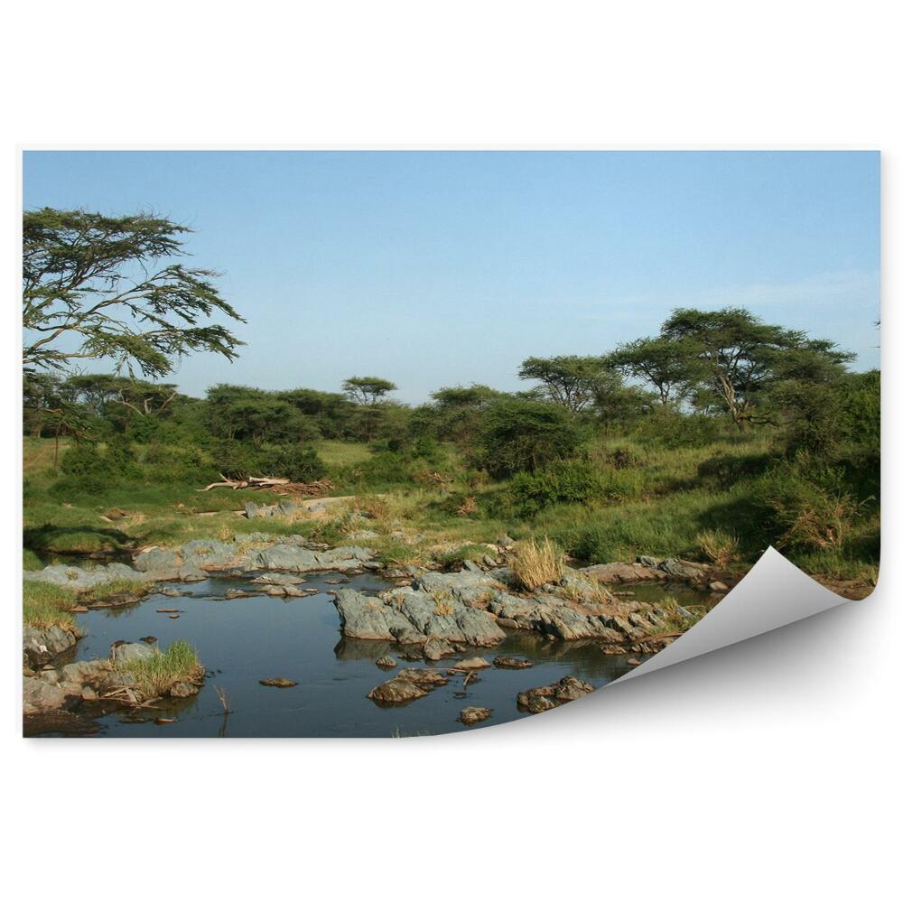 Fotótapéta fák természet kövek folyó égbolt Tanzánia Africa