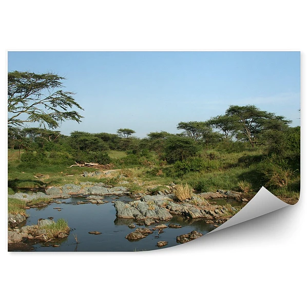 Fotótapéta fák természet kövek folyó égbolt Tanzánia Africa