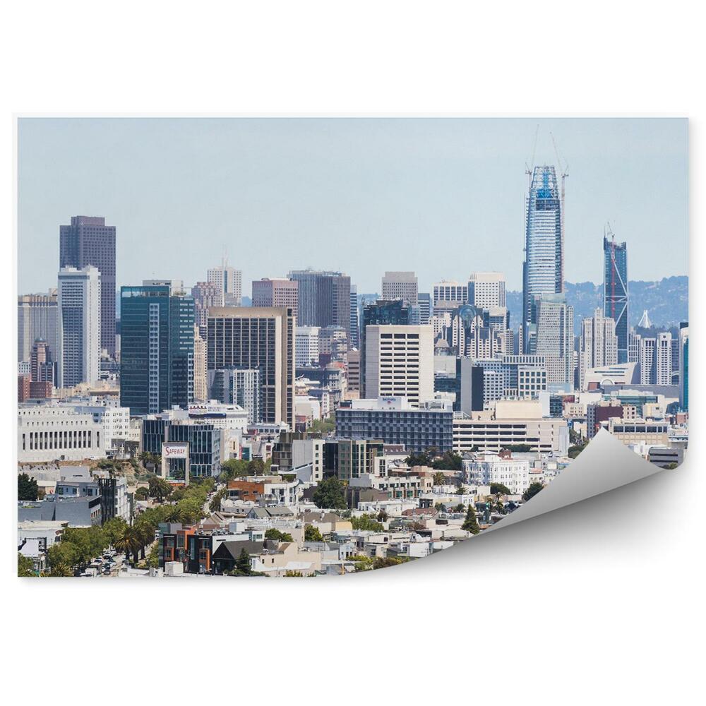 Fotótapéta felhőkarcolók város San Francisco növények