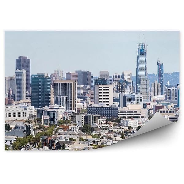 Fotótapéta felhőkarcolók város San Francisco növények