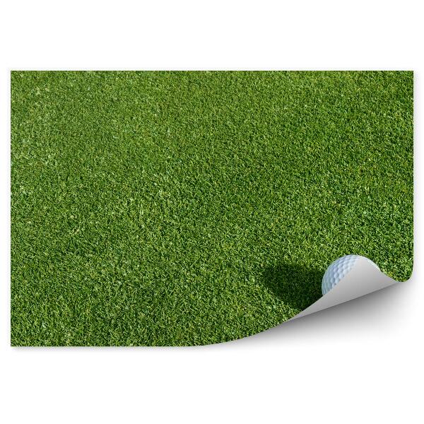 Fotótapéta Füves golflabda