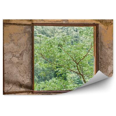 Öntapadós fotótapéta Egy régi ház egy kis ablakkal az erdőre és a zöld fákra