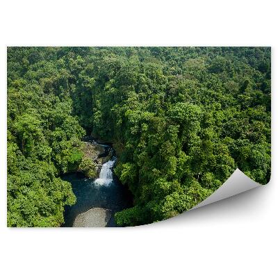 Öntapadó fotótapéta Erdei folyó természet élővilág