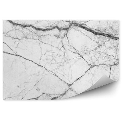 Fotótapéta Fehér márvány